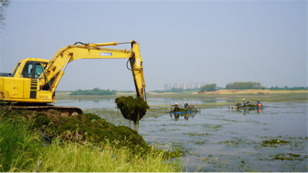 宜昌努力打造“金湖”名片  为绿色发展“添砖加瓦”845.png